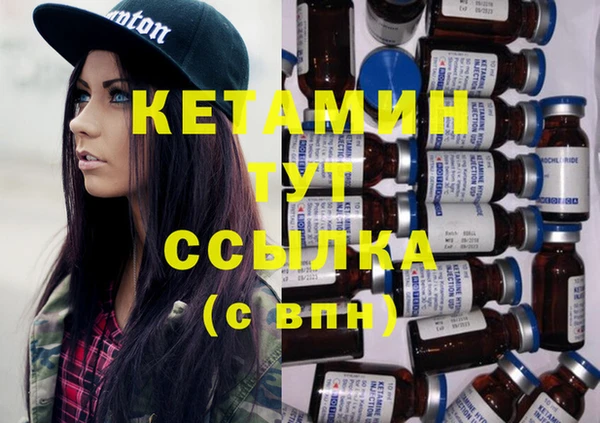 мет Няндома